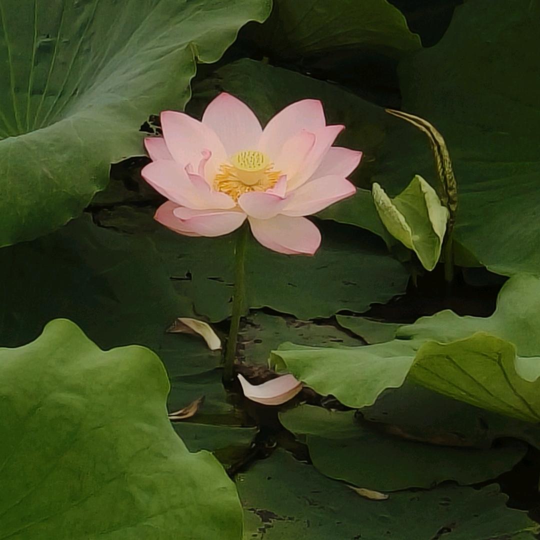瑞瑞