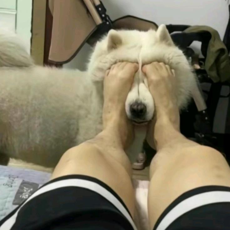 牛亦菲
