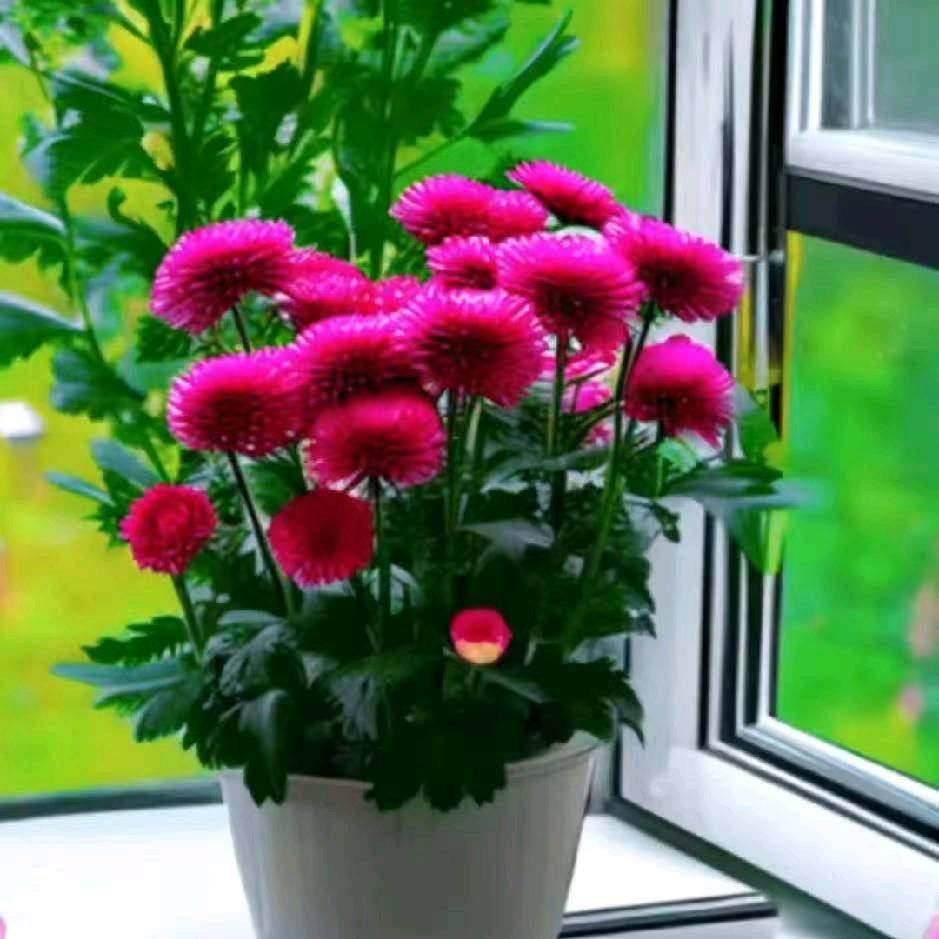 💞余生爱💦☔️自己💕💝