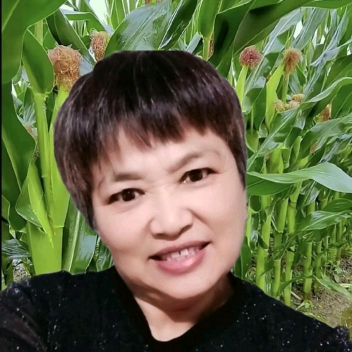 三姐