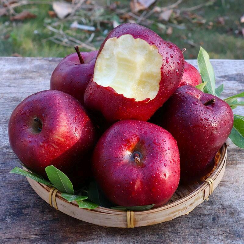 家有良田生鲜果园直发