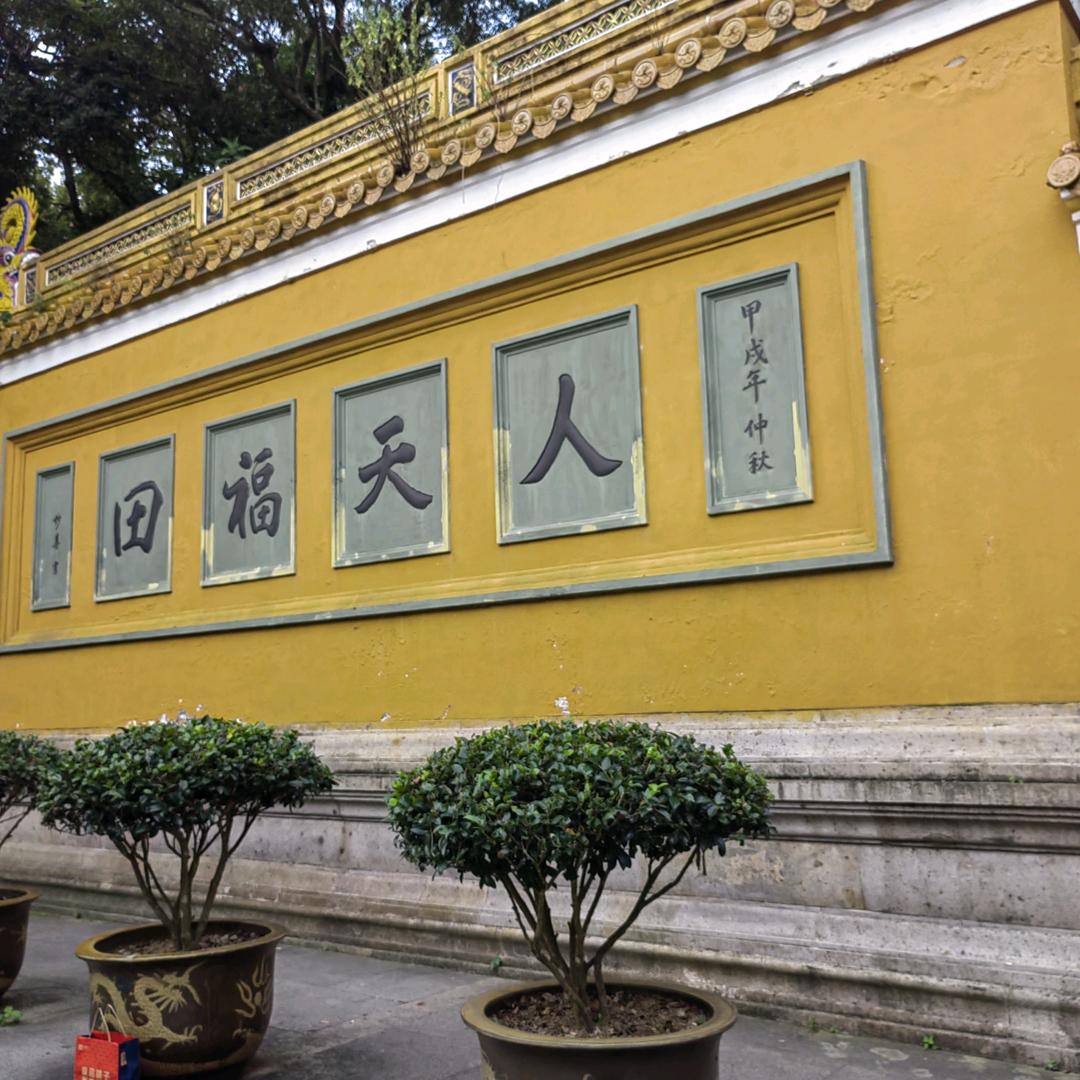 金玉良缘一线牵