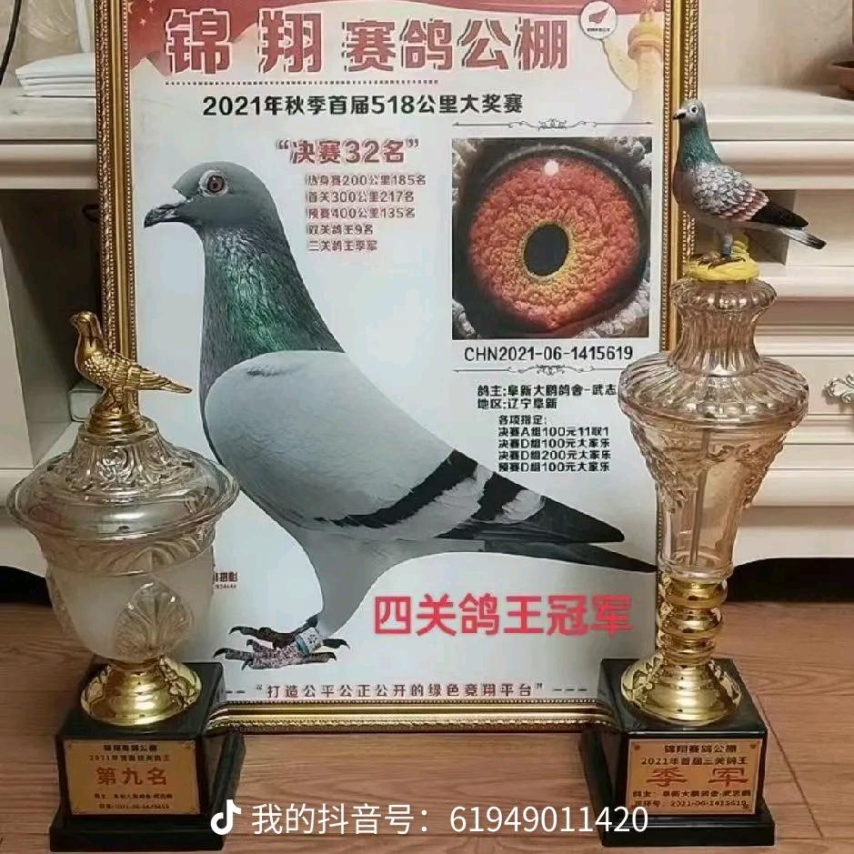 李龙鸽舍