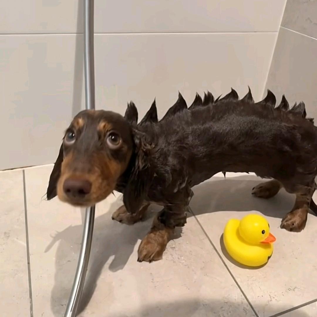 Tooo