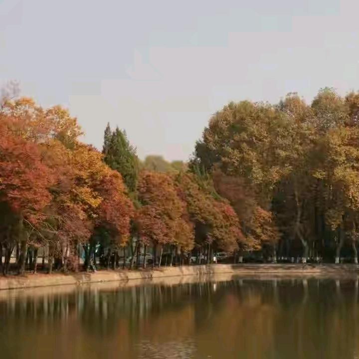 \打工老严