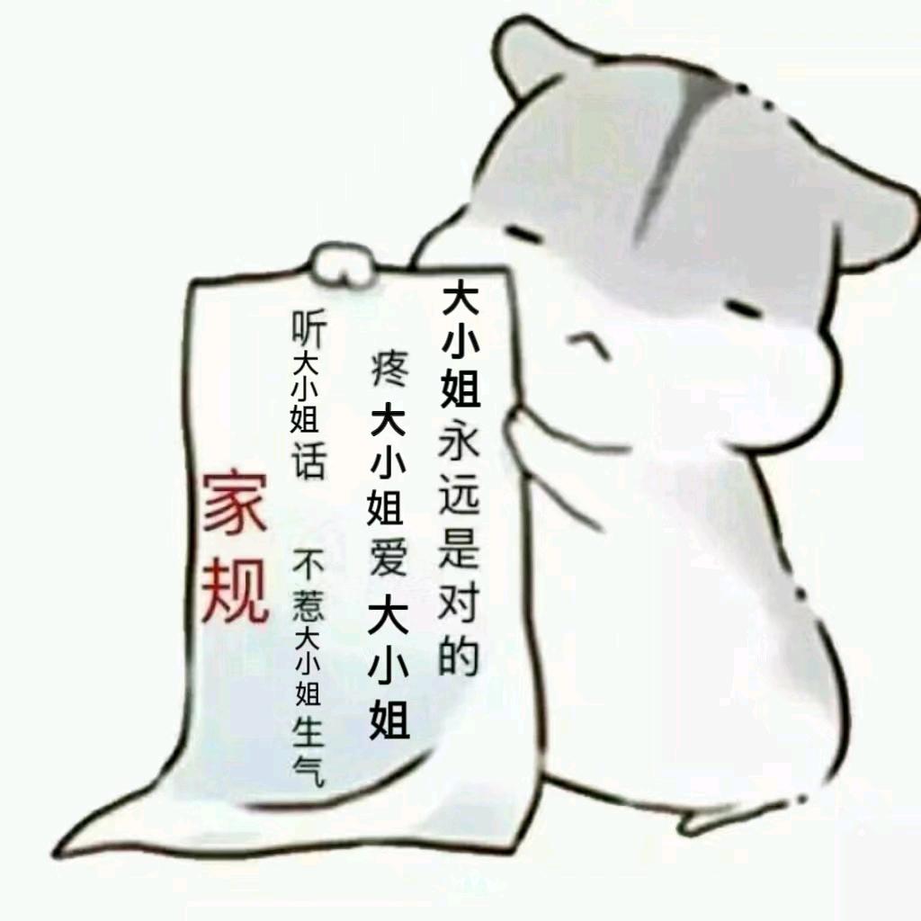 大熊猫国宝级