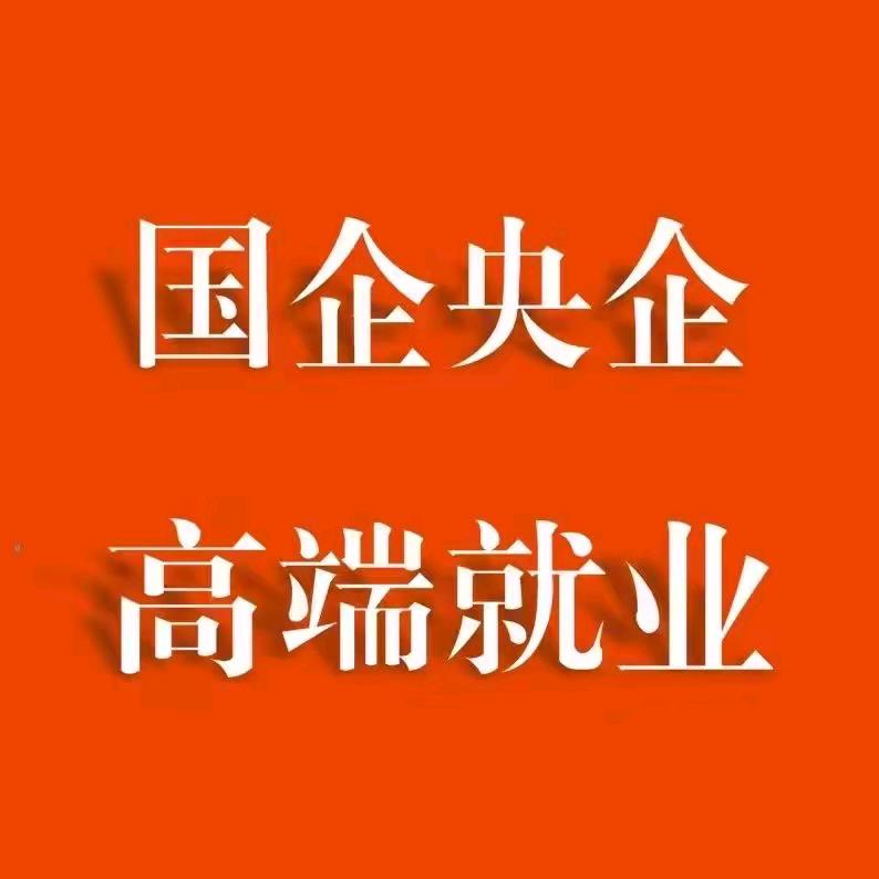 国央企入职小助手