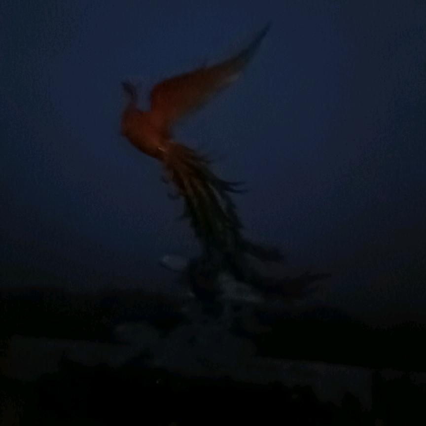 ，随心