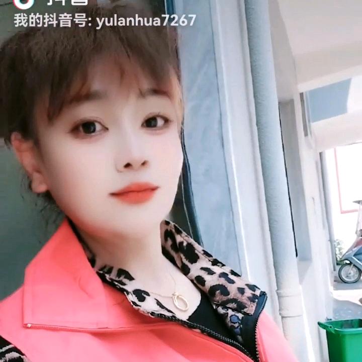 玉兰花