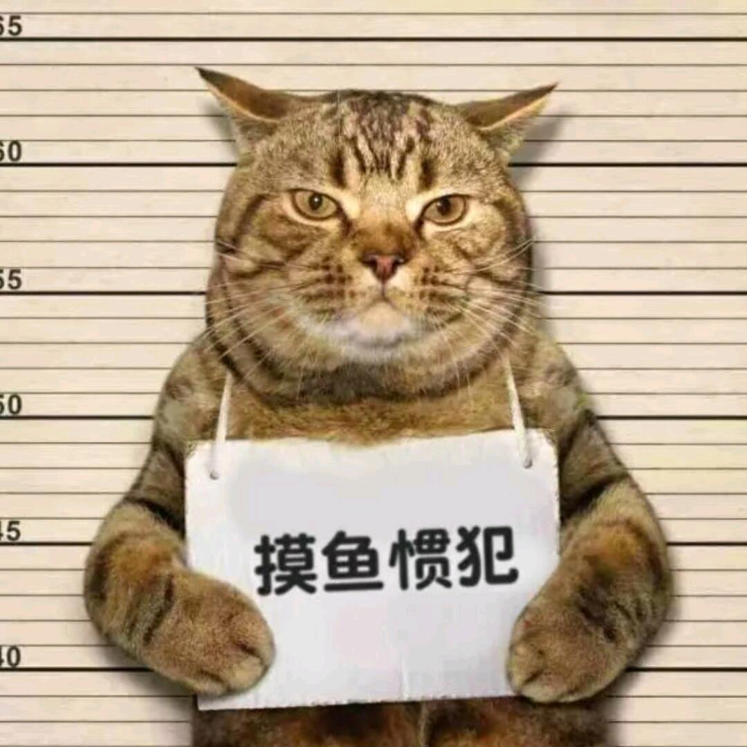 暮雪.