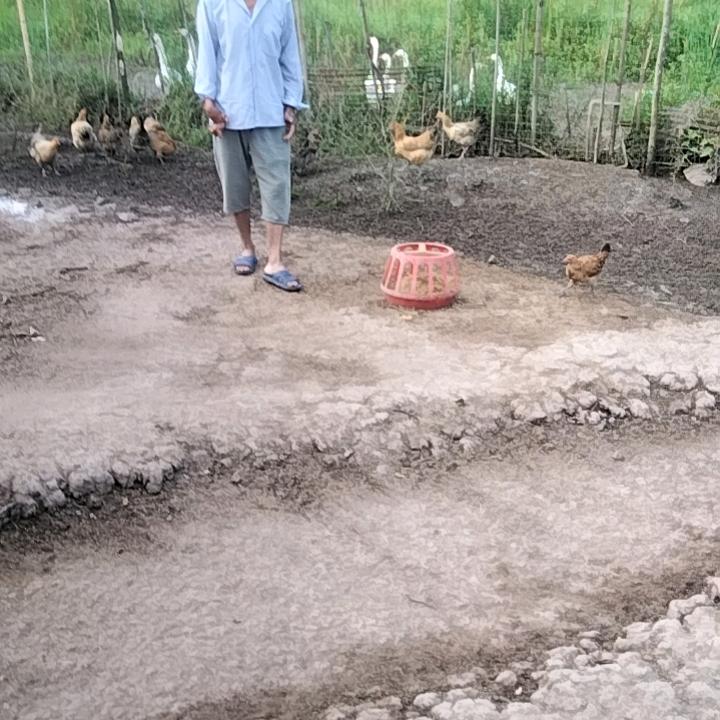 快快乐乐