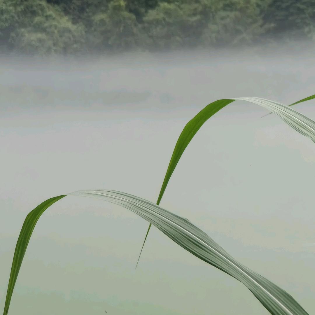 钱哆哆