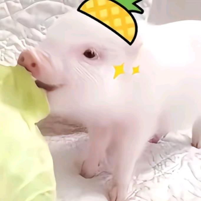 Wo  yi zhi ai srh
