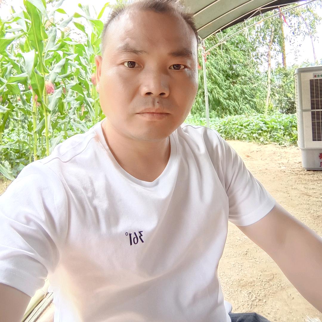 梦里江湖路不通