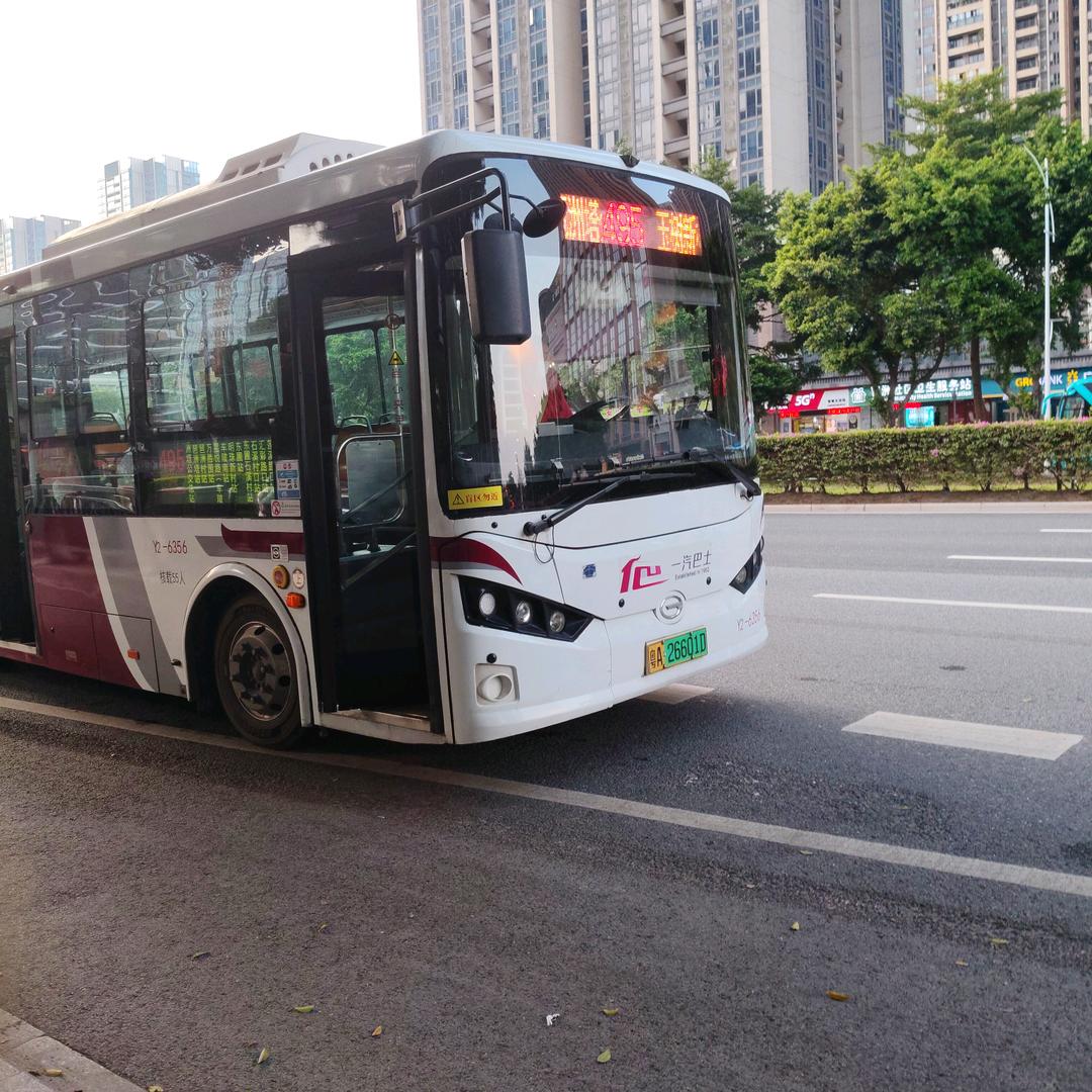 Y2-6356（面包）