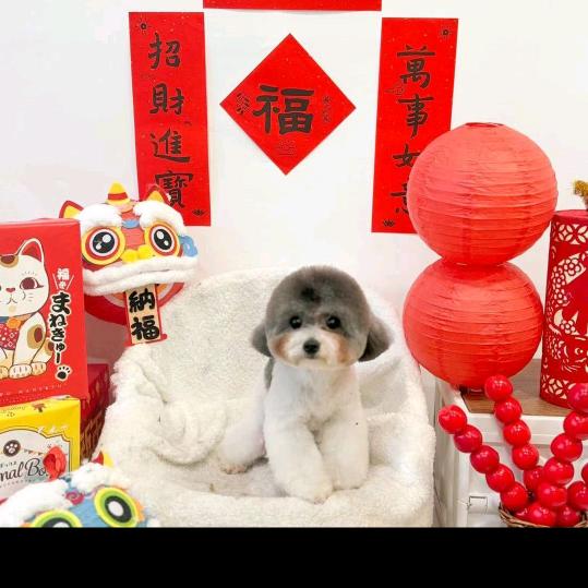 陈姐