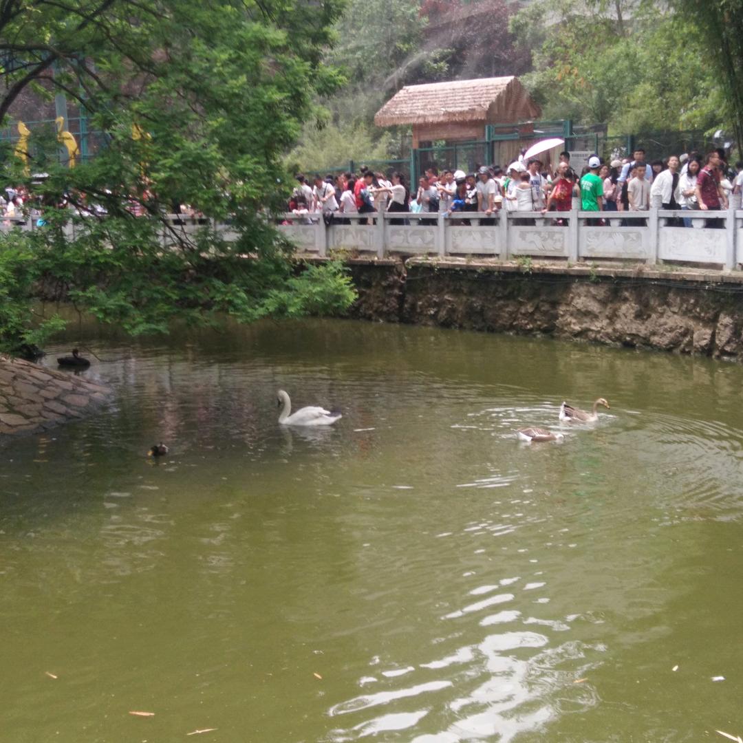 忘记☘回忆💦