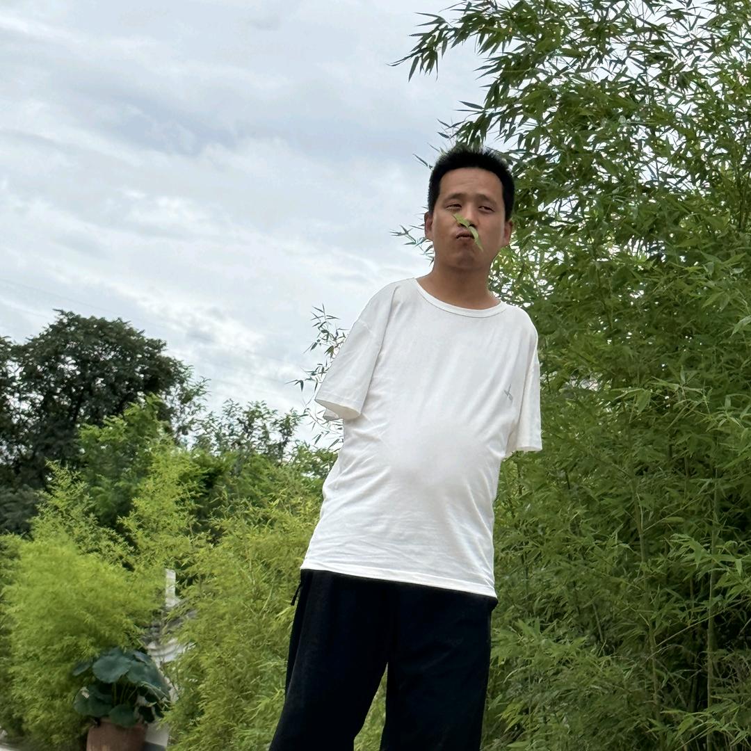 照大锤