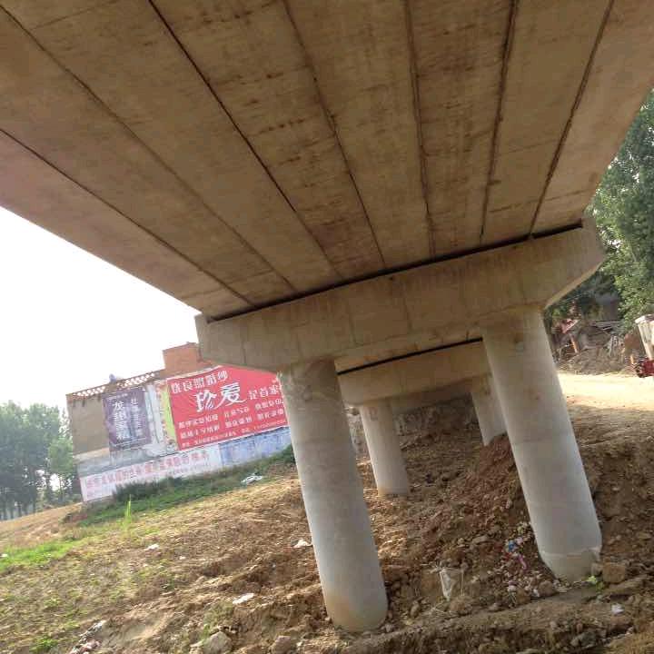龙