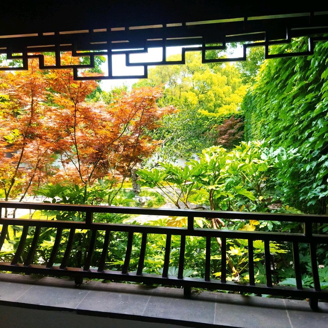 1010-跃过高山