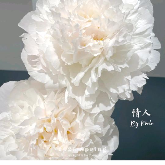 国旭花怡（-陳-）