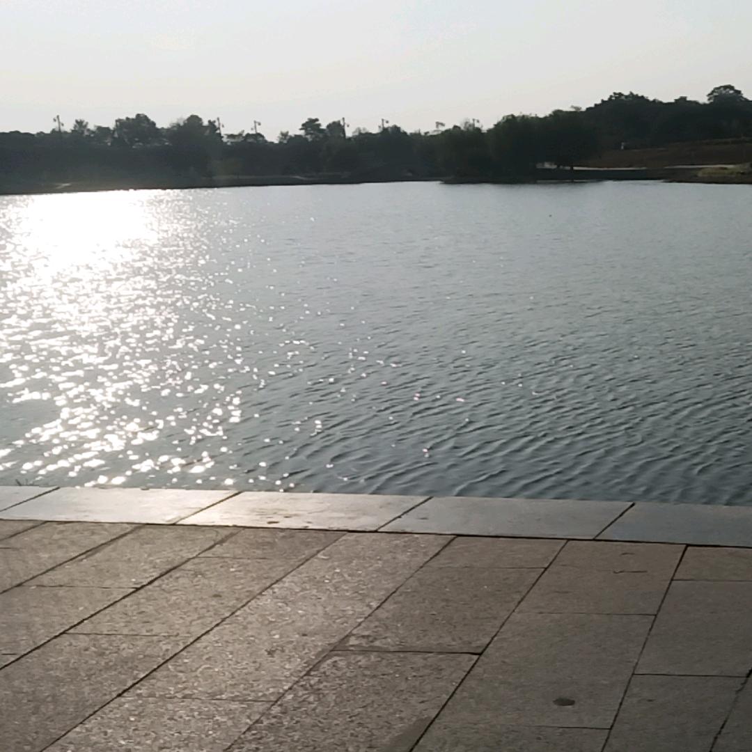 小刘农技直播号