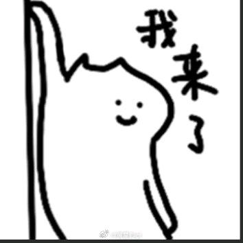 橙子很忙