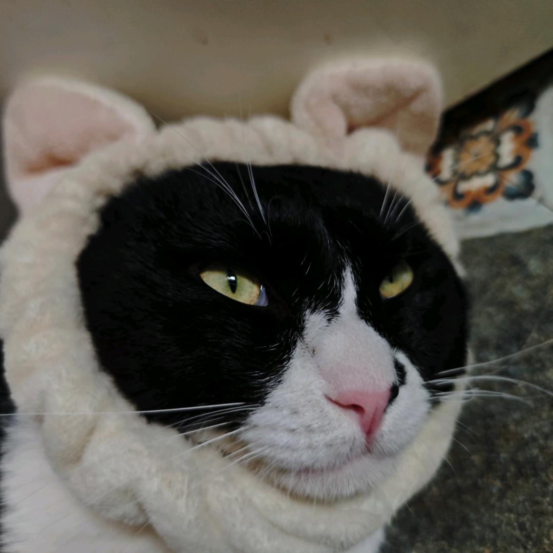 匿名冲浪🏄🏻‍♀️