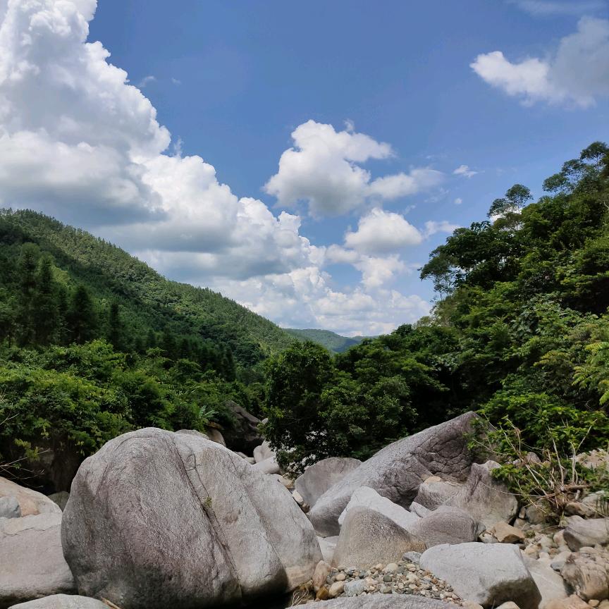 以后的以后