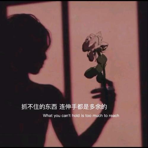 半颗糖🍭🍭🍭🍖