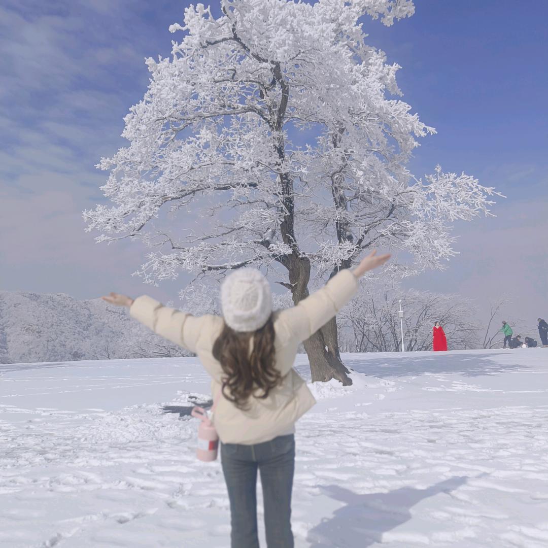 ღ半夏