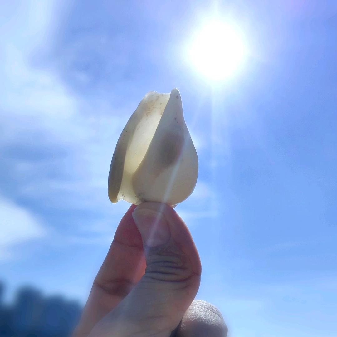 NI姐姐的家🇨🇳