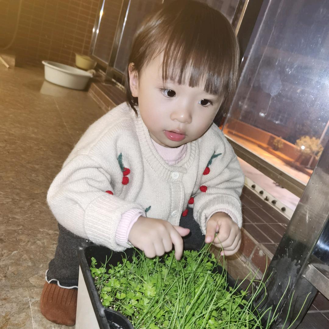 🌻芮儿的小世界