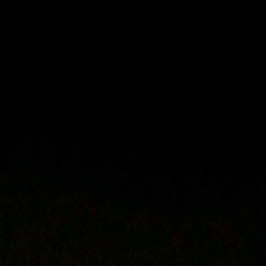 1122585658