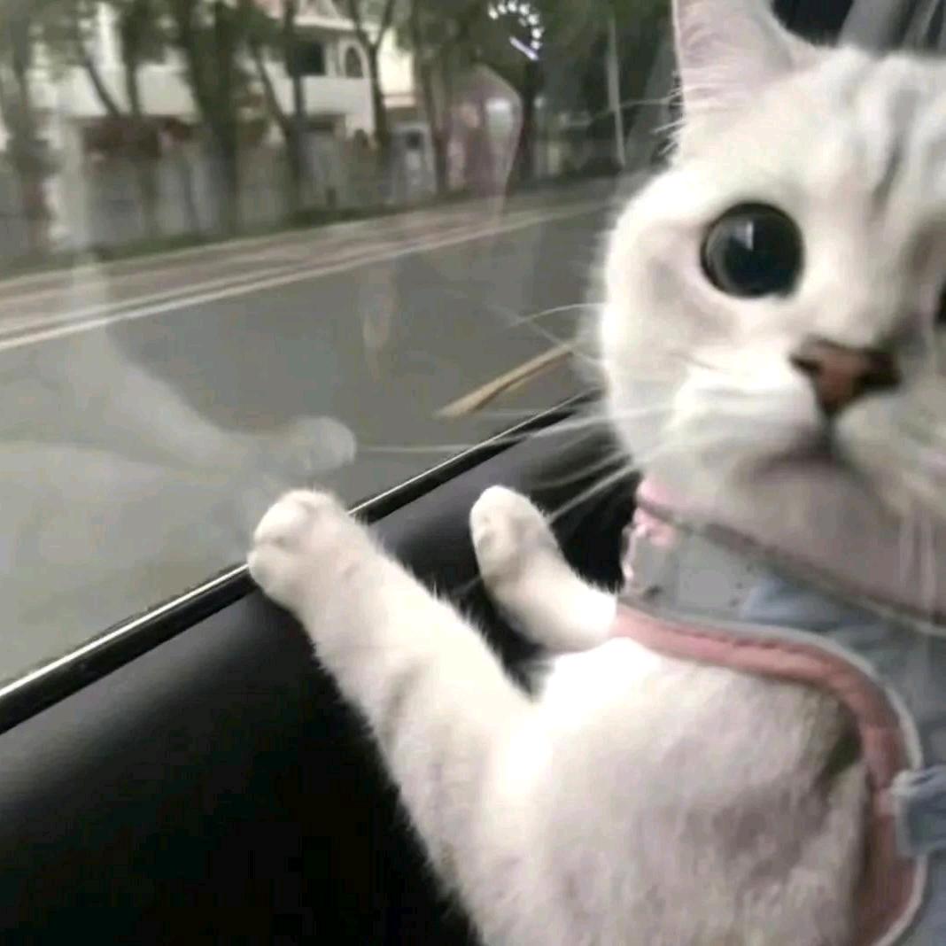 不想睡♡