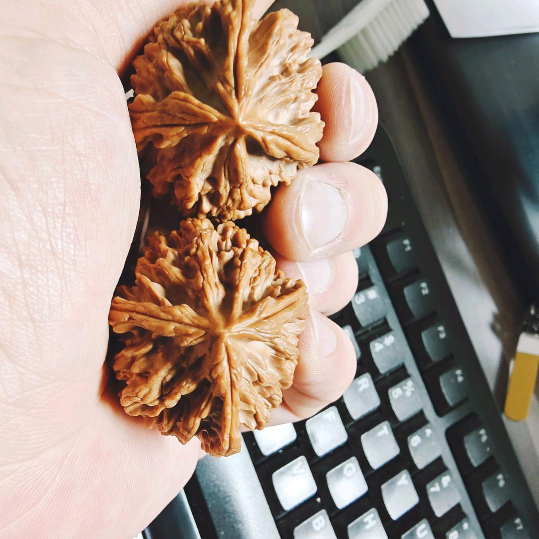 灵魂重生