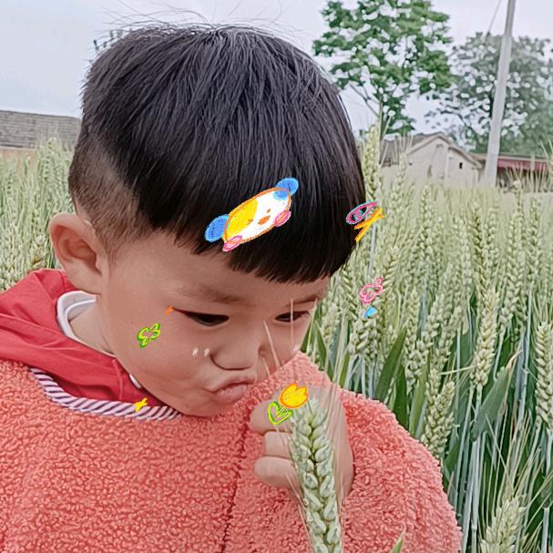 ❤️❤️向阳🥰