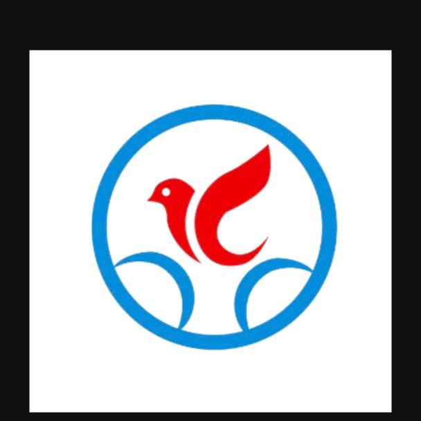 自行车上的鸽子