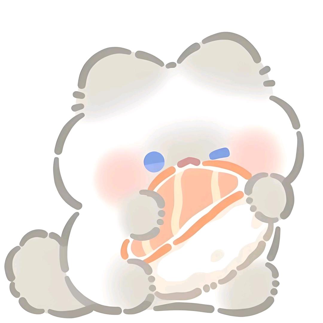 圆愿