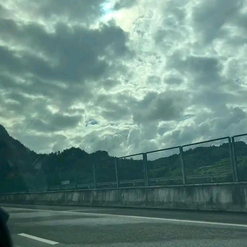 对A就送你一朵小花花（仙居杨梅）