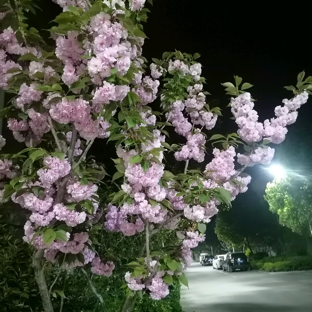 幸福美满