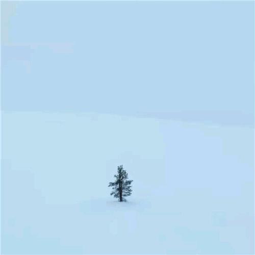 悠然<南大坪吊车>