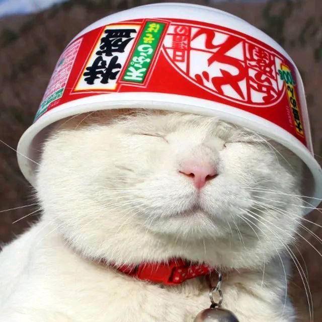 是芝麻呢