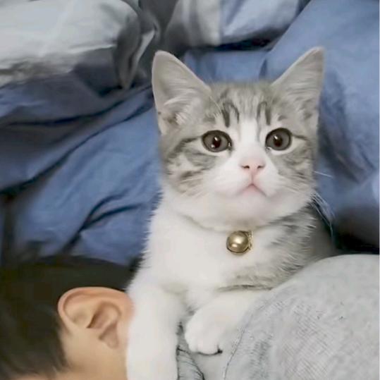 吃饭睡觉打土豆