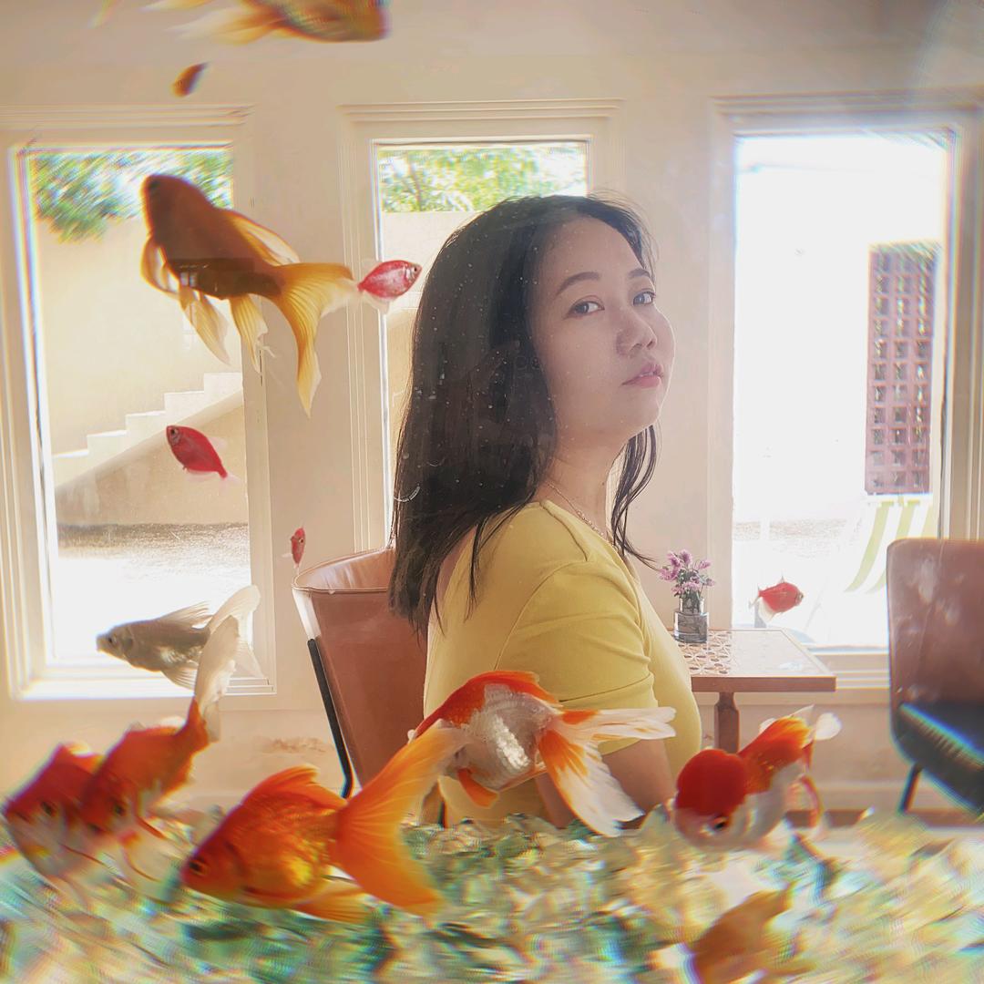 只会手机拍照的八哥