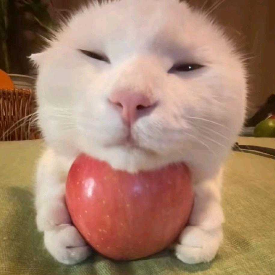 睡醒的时候不困