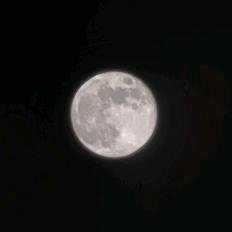 大树-研究高考数学12年