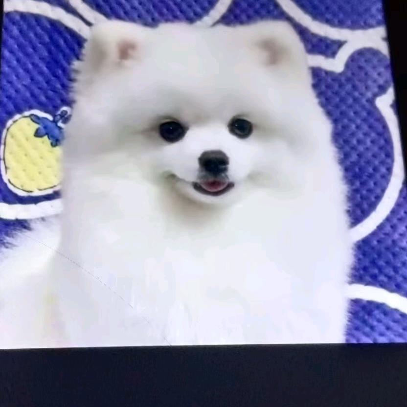 情伤心爱伤人