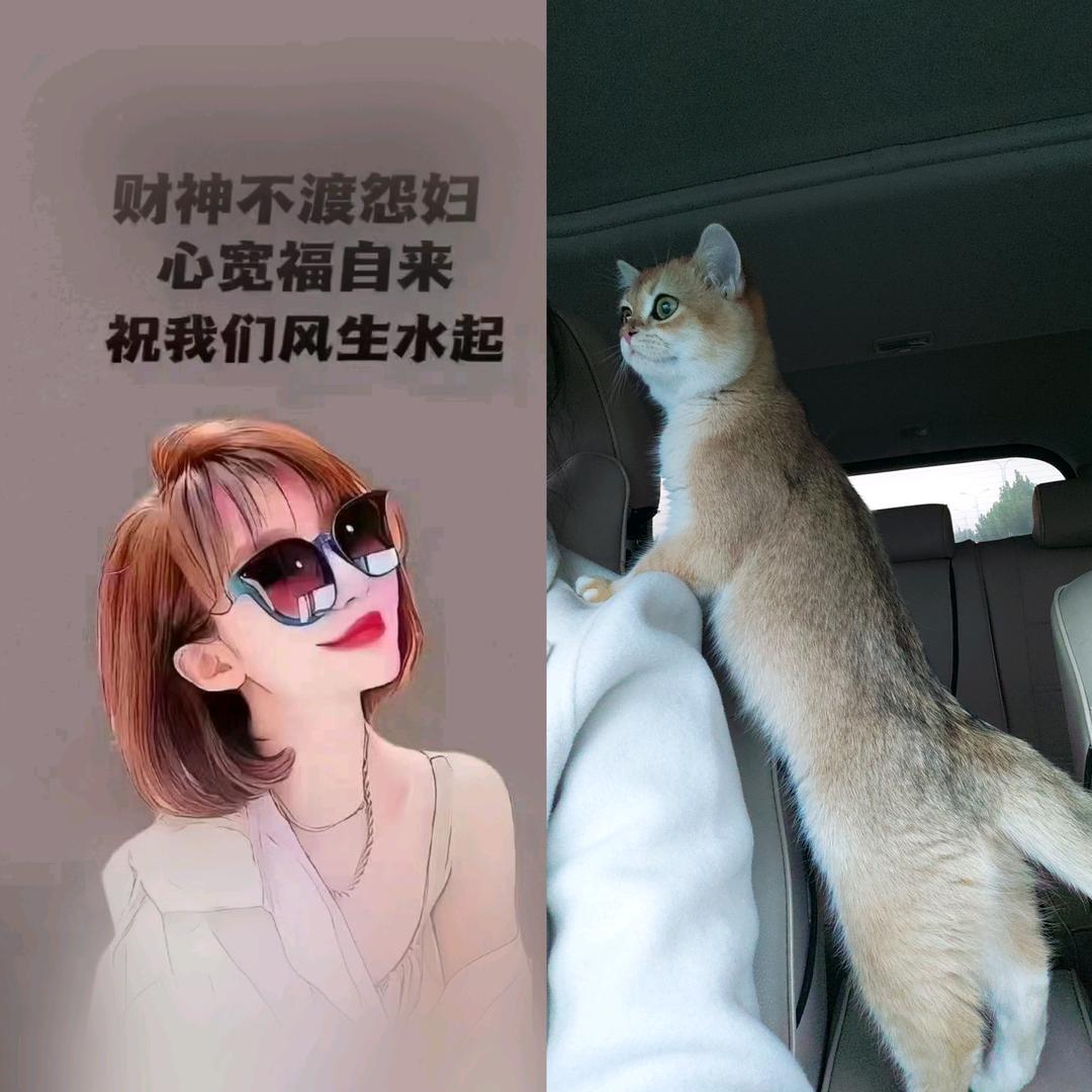 牧星与它