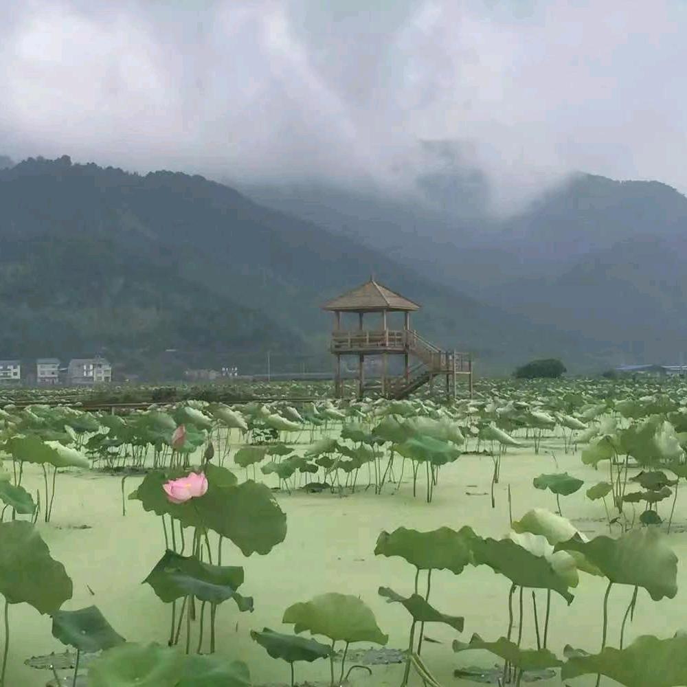 谢记土特产批发部甄选